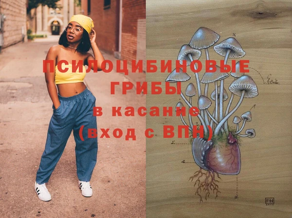 гашик Верхнеуральск