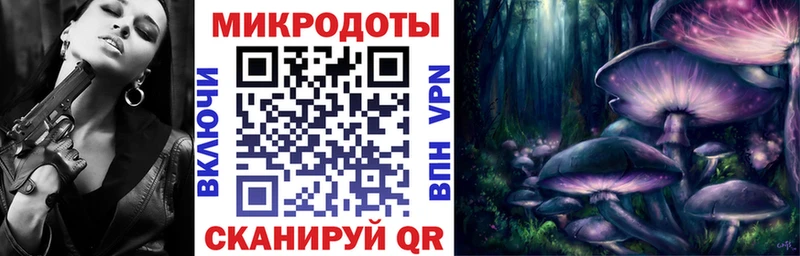 MEGA   Губкин  Псилоцибиновые грибы MAGIC MUSHROOMS 
